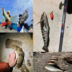 Carbon Travel Fishing Rod Fuji Lure